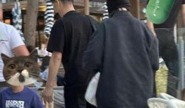 陆文臣被爆料了吗视频,真相究竟如何？