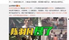 卓伟爆料吴映洁案件视频,吴映洁案件视频揭露惊人内幕